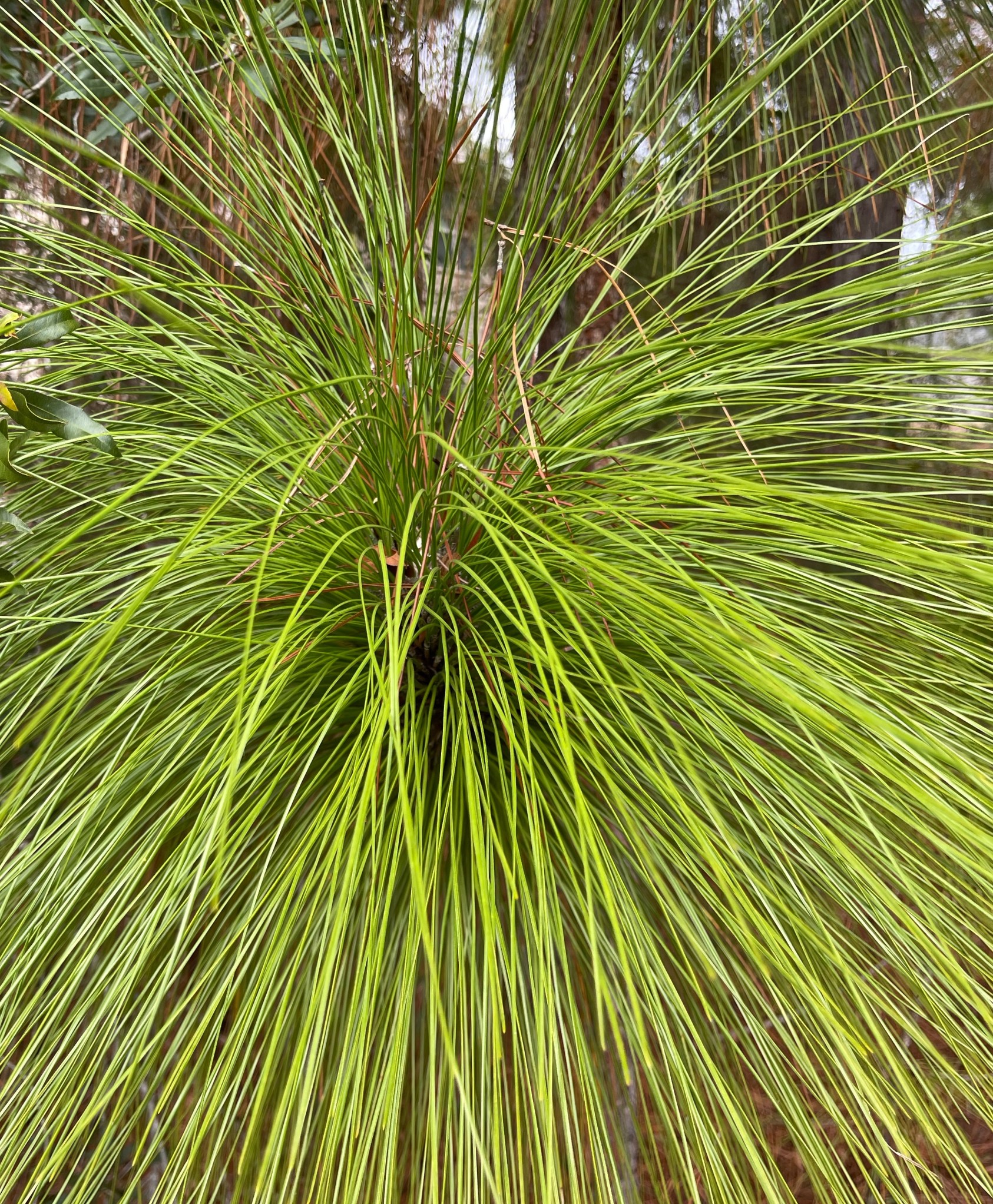 Fall 2023 Photography Favorites The Hardware Life A Wife s Journey fall-2023-photography-favorites-the-hardware-life-a-wife-s-journey